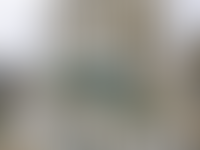 Описание изображения