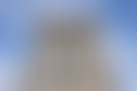 Описание изображения