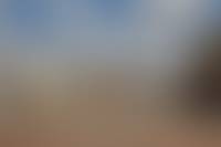 Описание изображения