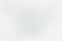 Описание изображения