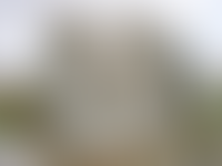 Описание изображения