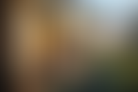 Описание изображения