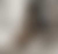 Описание изображения