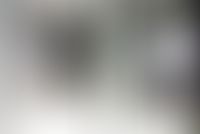 Описание изображения