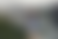 Описание изображения