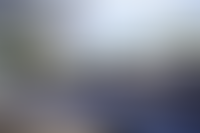 Описание изображения