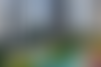 Описание изображения