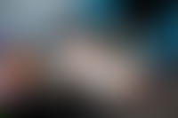 Описание изображения