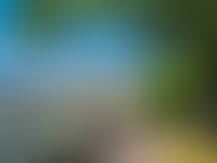 Описание изображения