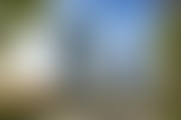 Описание изображения