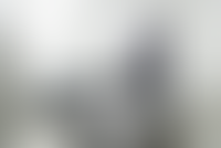 Описание изображения