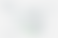 Описание изображения