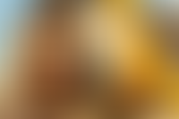 Описание изображения