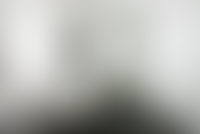 Описание изображения