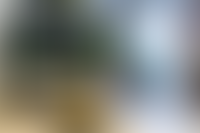 Закрываем офис продаж Левел Академическая