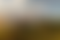 Рассрочка теперь в проекте Левел Лесной