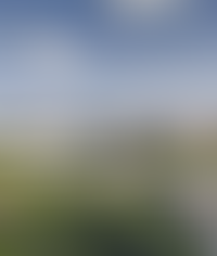 Завораживающие виды