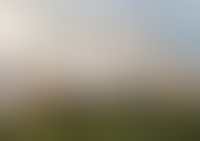 Авторская архитектура