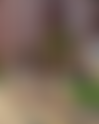 Свой детский сад