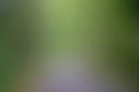 Благоустроенная дорога<br>до метро