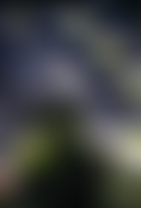 Благоустройство<br>от&nbsp;бюро UNK landscape