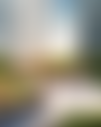 Приватный зеленый двор