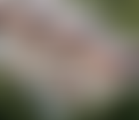 Детская среда