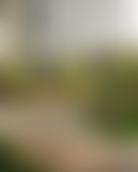 Благоустройство от&nbsp;бюро GAFA