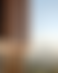 Панорамные виды