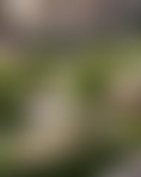 Благоустройство