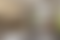 Дизайнерские лобби