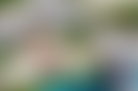 Благоустройство от&nbsp;бюро ARCH(E)TYPE