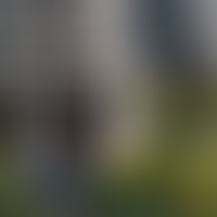 Закрытый зеленый двор