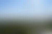 Описание изображения