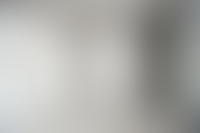 Описание изображения
