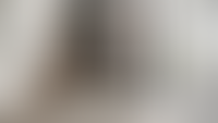 Описание изображения