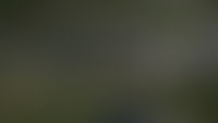 genplan
