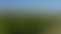Панорама 360°