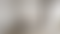 Прогулка 360°