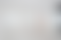 Прогулка 360°
