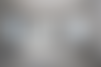Прогулка 360°