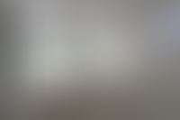 Прогулка 360°
