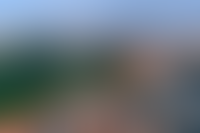 Прогулка 360°