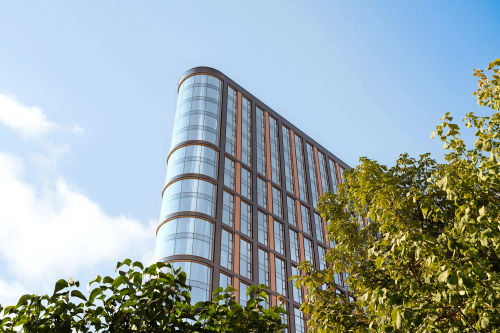 Левел Академическая